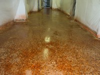 Stained Polished Concrete by XNC Contractors in Cambridge, ON N1R 5R1